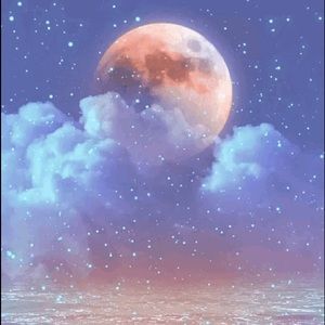 Meet your Posher, Cheyenne